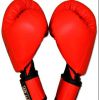 Kids KickBoxing Gloves Photo 3